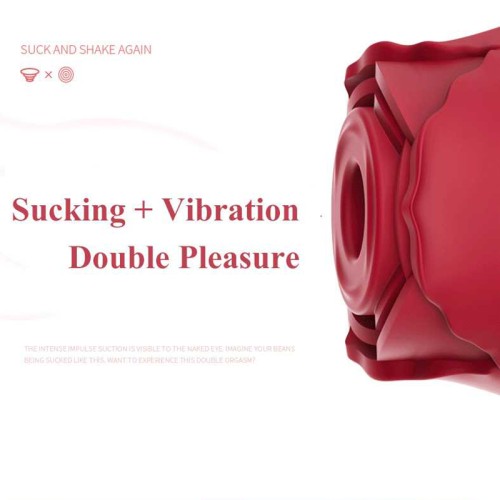 Rose New Flower Vibrator 