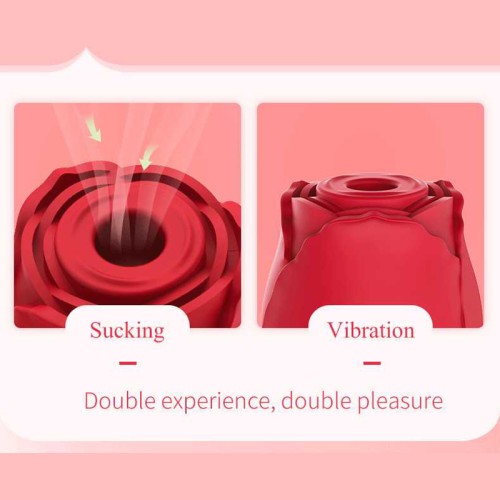 Rose New Flower Vibrator 